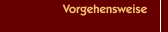 Vorgehensweise